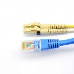 Close up of a fiber optic patchcord head and UTP LAN cable head