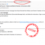 nelson-chamber-scam